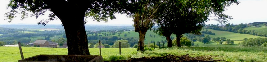 Site_PdH_024_reduite